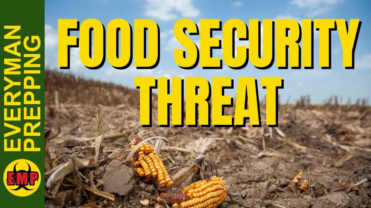 This Will Cause Worse Food Shortages and Higher Prices in 2023 - Stockpile More Food Now!