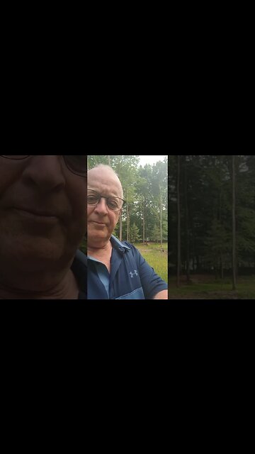 Why We Plant Clover in Fall #short