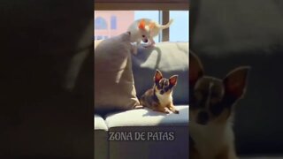 QUANDO O DINHEIRO CAI NA CONTA 🤣🤣🤣