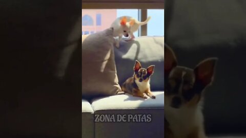 QUANDO O DINHEIRO CAI NA CONTA 🤣🤣🤣
