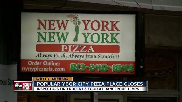 Dirty Dining: NY NY Pizza shut down for a live rodent & 45 lbs of food at dangerous temperatures