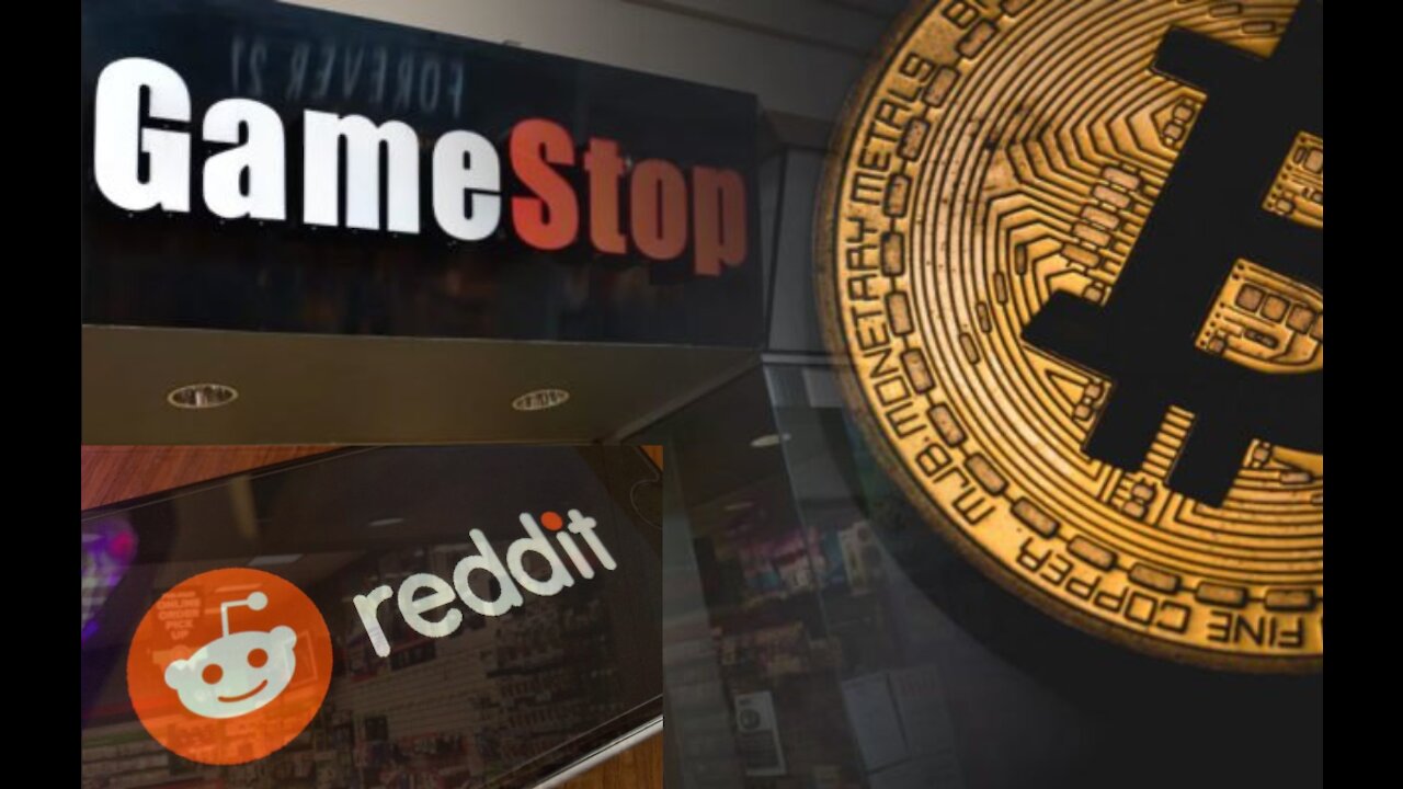 CNBC Host Loses His Shit After Winklevoss Twins Defend Wall Street Bets and Gamestop - Jan 28th 2021