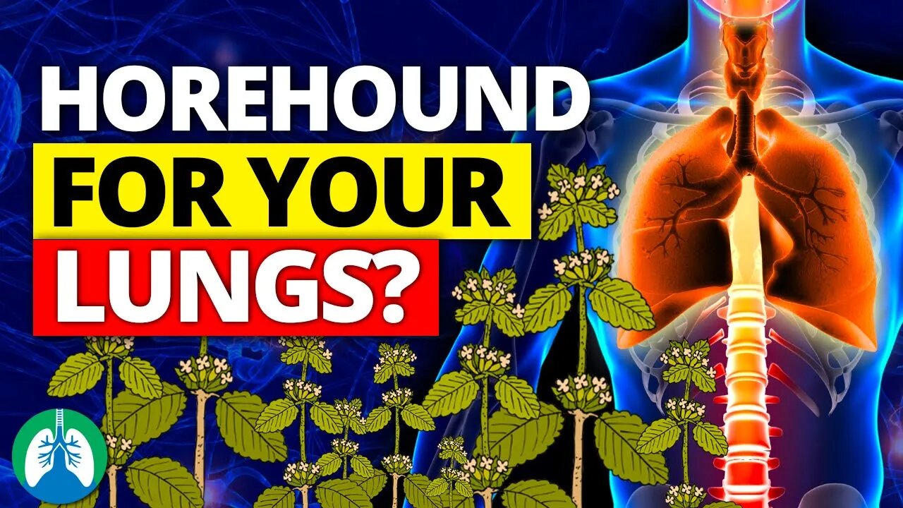 How to Detox and Cleanse Your Lungs with Horehound ❓