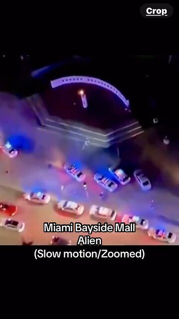Miami Bayside Mall Alien (Slow Motion/Zoomed)