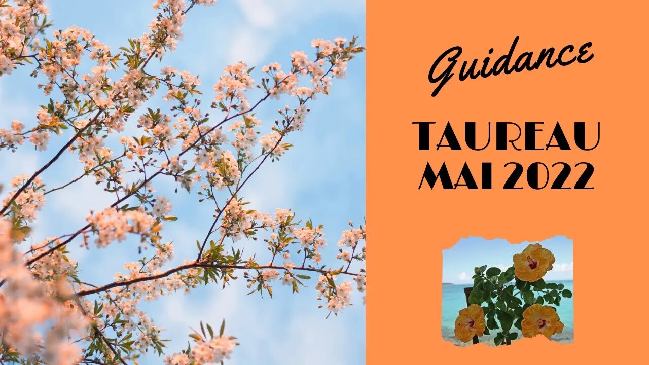 #TAUREAU - GUIDANCE MAI 2022 - ** NOUVEAU CONTRAT ... NOUVELLE VIE **