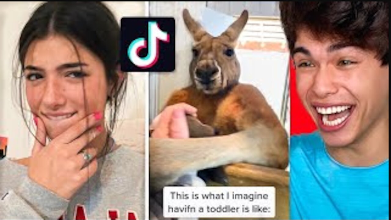 Best funny videos in Tiktok by Stokes Twins