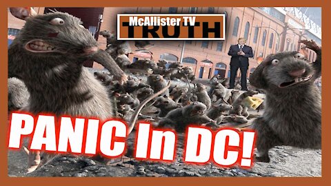 Election Fraud HEADLINES! Moar Q Mega Memes! COVID Death Camps!