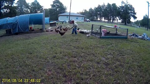 Integrated the Flocks