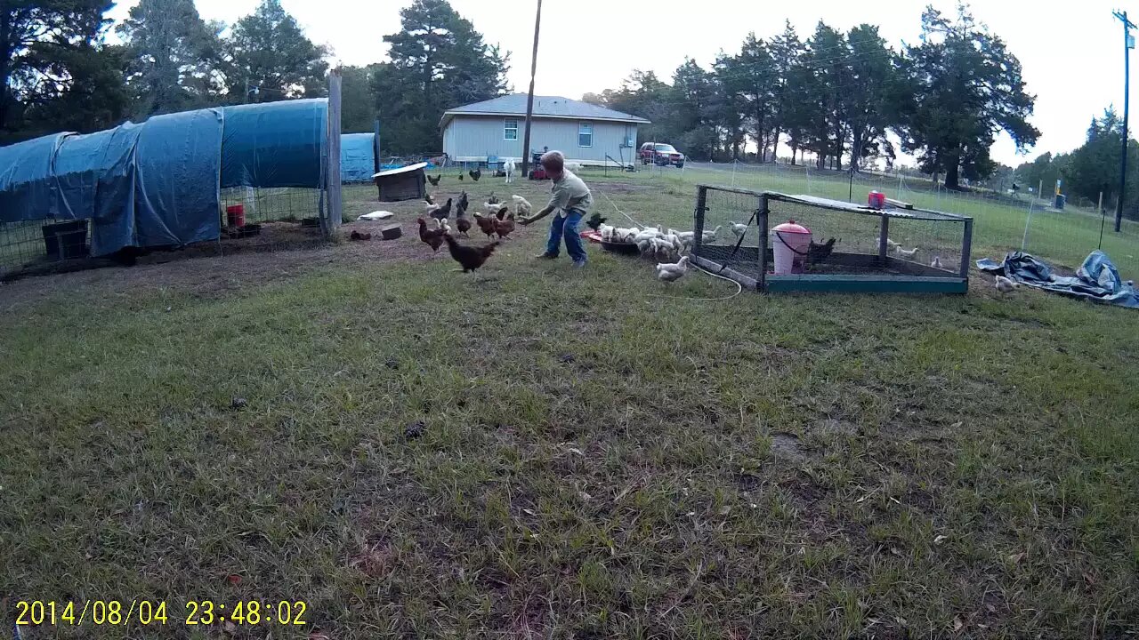 Integrated the Flocks