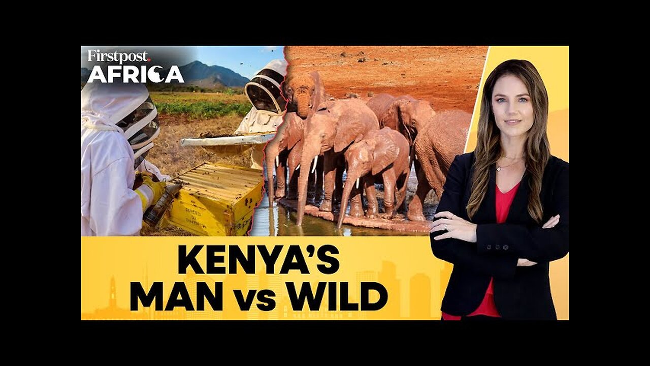 Kenya: Farmers Use Honeybees to Tackle Threat from Giant Elephants | Firstpost Africa