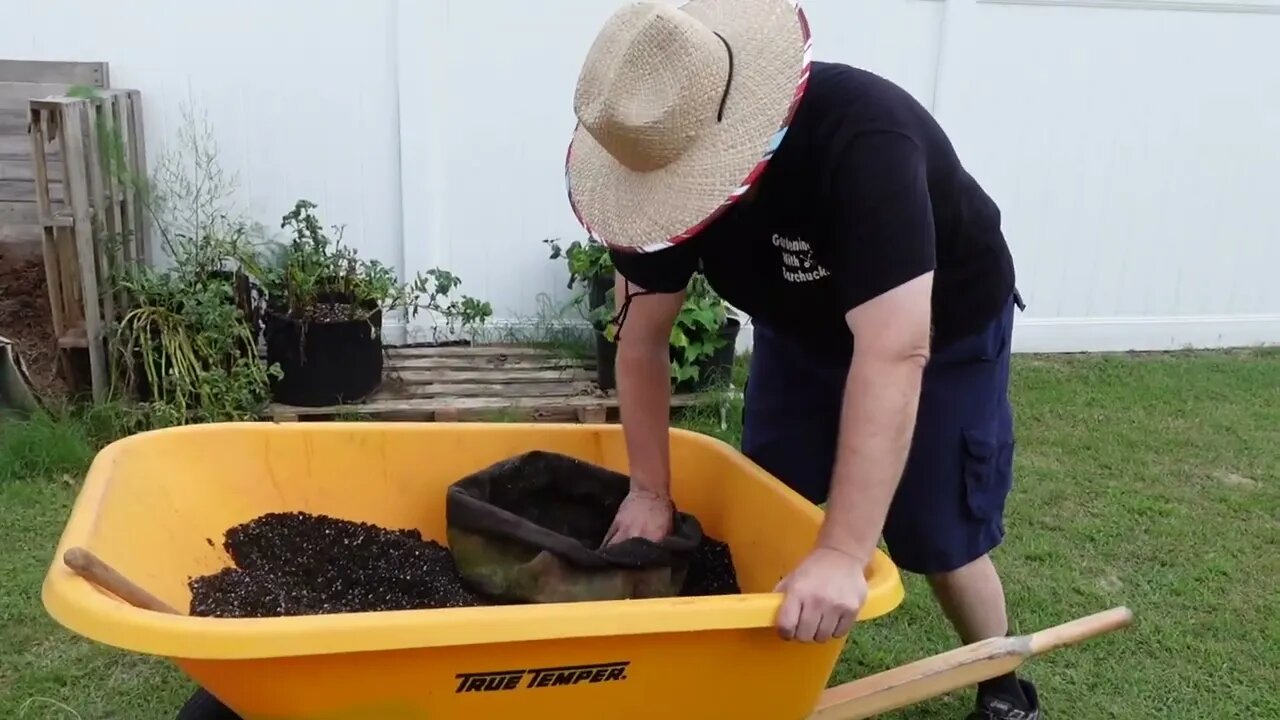 Grow bag potato harvest