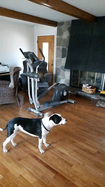 I got it, I don't got it