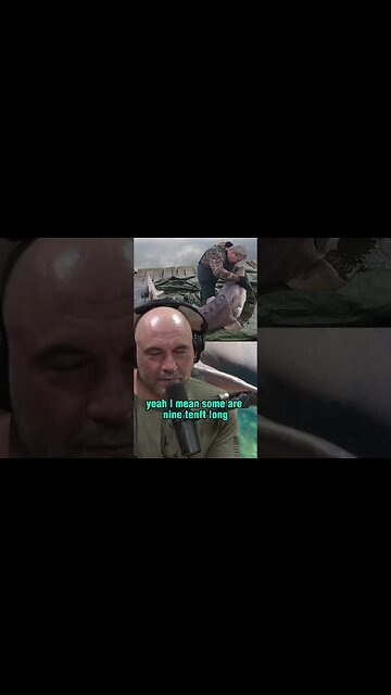 The Mysterious Origins of Caviar and Sturgeon Fishing - Joe Rogan and Forrest Galante
