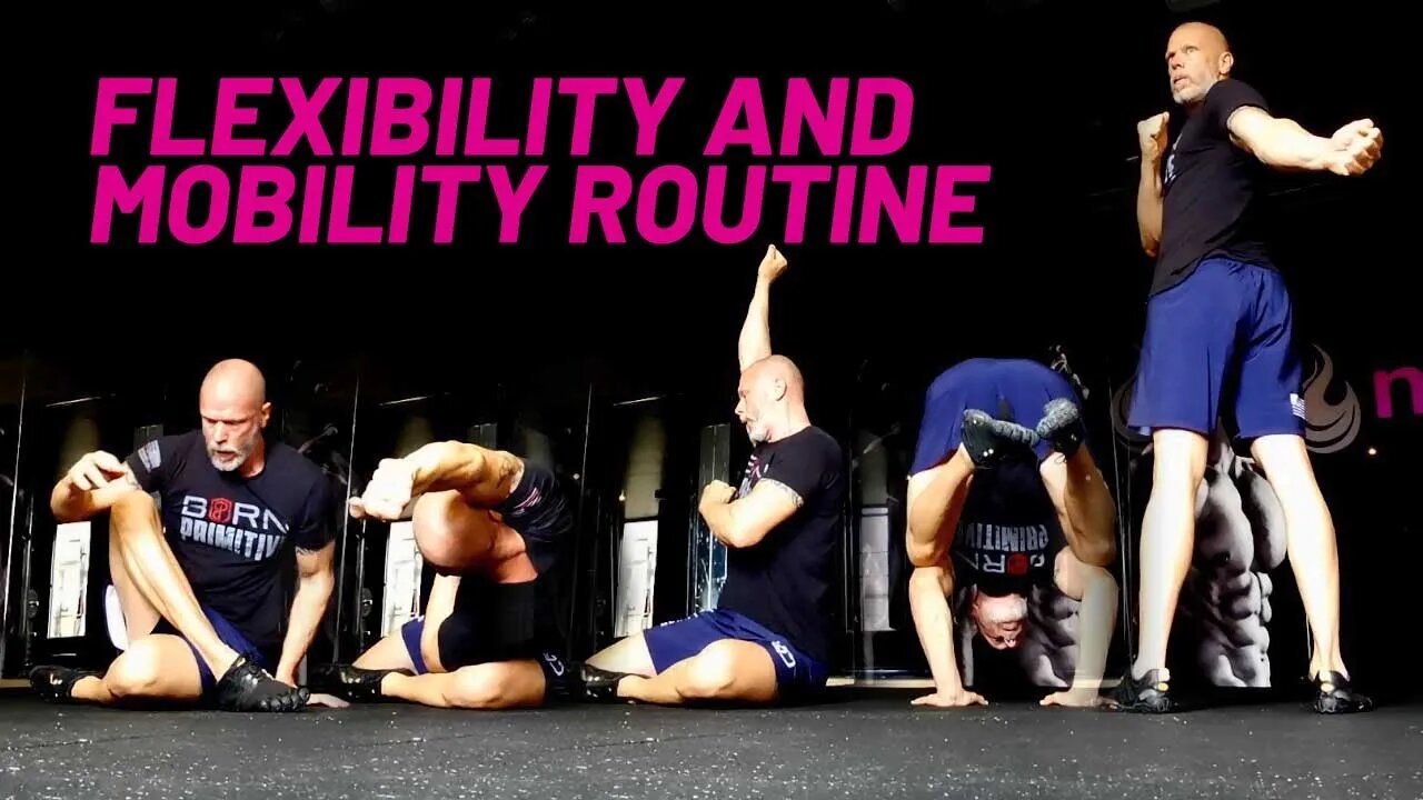 Flexibility Mobility Routine—USE YOUR TRAINING TIME WISELY