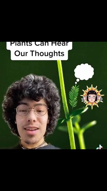 Plants Can Hear Our Thoughts!
