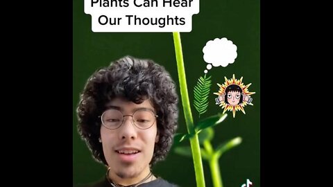 Plants Can Hear Our Thoughts!