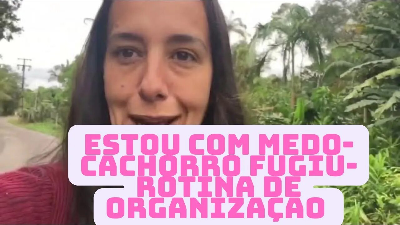 Estou com medo de verdade- Cachorro fugiu pra casa da vizinha-Rotina