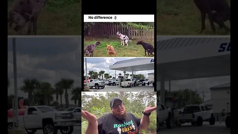 Here’s Your Dose Of REALarious…🤣🤣🤣