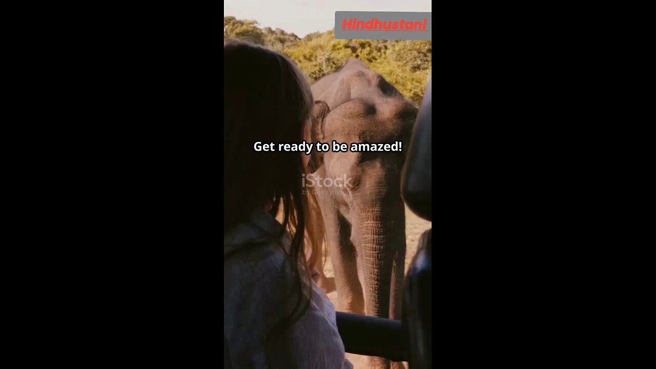 An Elephant in india rescue the women and her grand child who were lost in landslide and rain, india