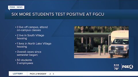 COVID-19 in Schools in Southwest Florida
