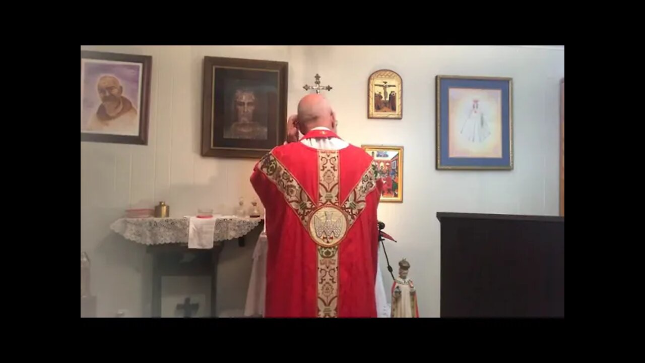 The Catholic Mass with Fr. Stephen Imbarrato | Jan. 25th, 2022