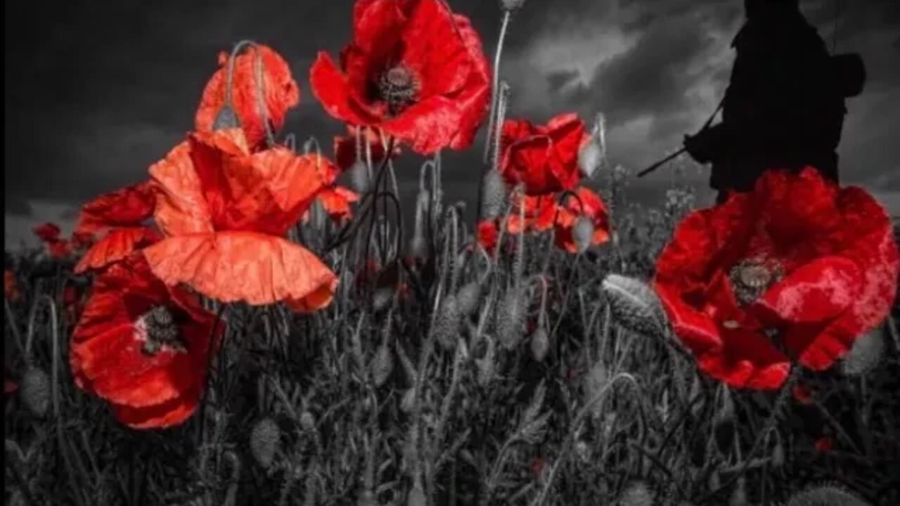 Royal Albert Hall, Remembrance day, and some people just won't quit