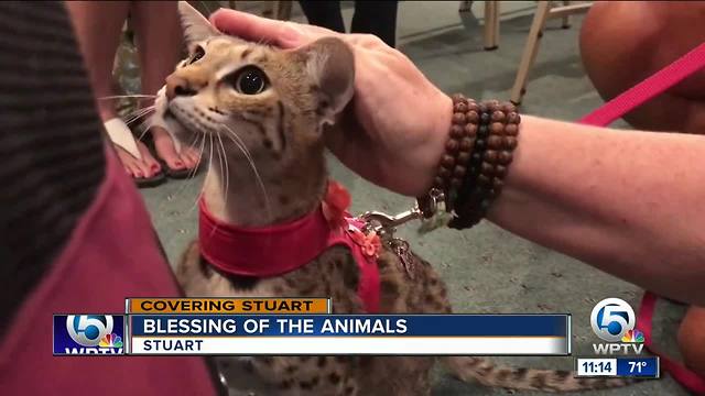 Blessing of the animals event held in Stuart