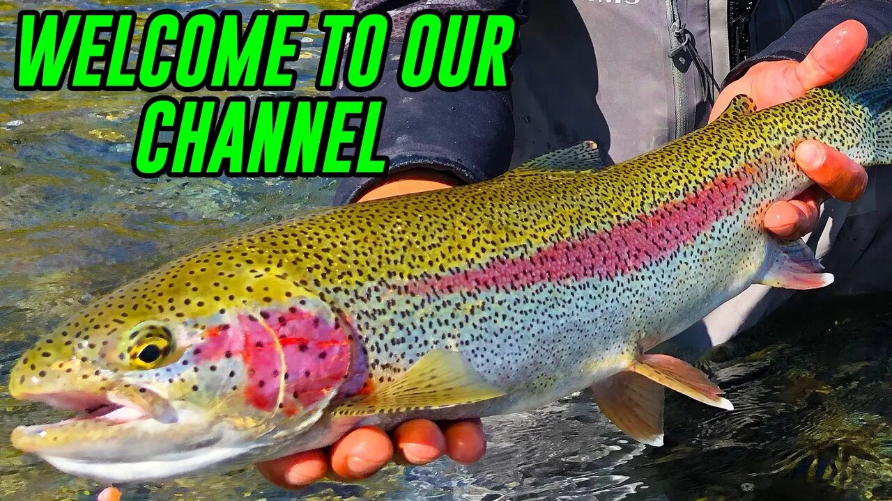 Welcome To Addicted Fishing | Educate - Entertain - Inspire