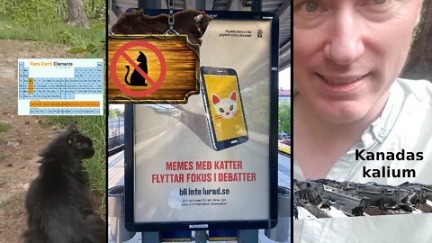 Obegränsade resurser. Ominramning: Ta kontroll över teknokraternas teknik! Kattmemes-kriget avgjort