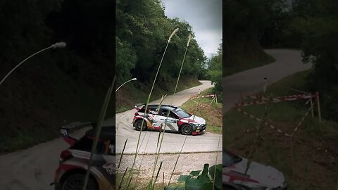 Marko Grossi-Tara Berlot Rally Nova Gorica 2023