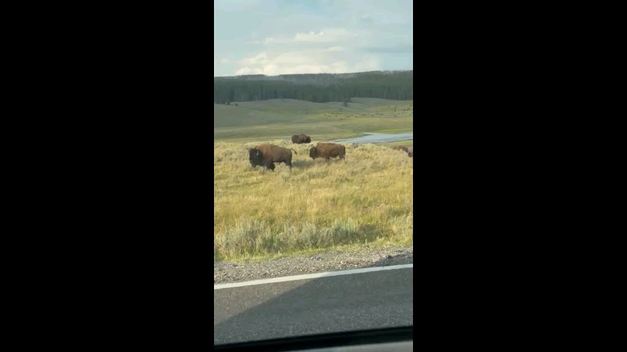 Yellowstone National Park