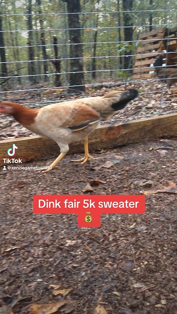Dink fair Sweater