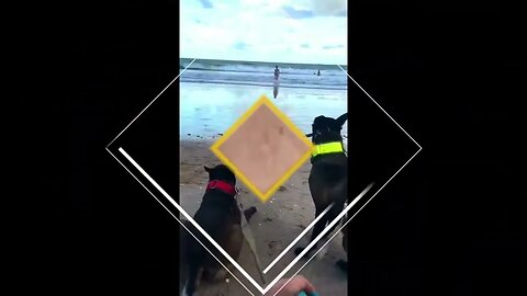 SEGURANÇA DA VOVÓ NA PRAIA
