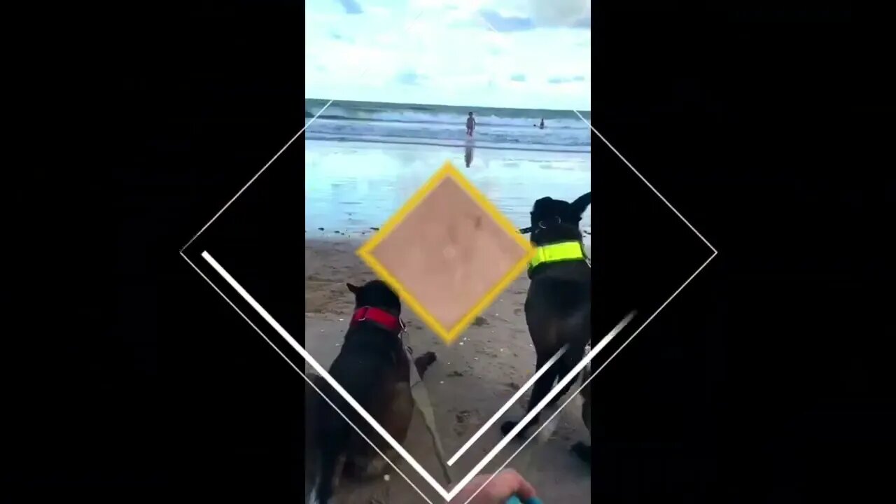 SEGURANÇA DA VOVÓ NA PRAIA