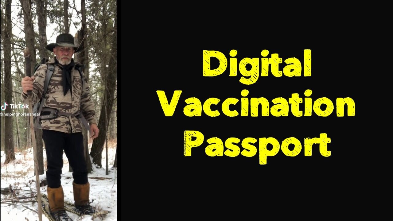 Digital Vaccination Passport