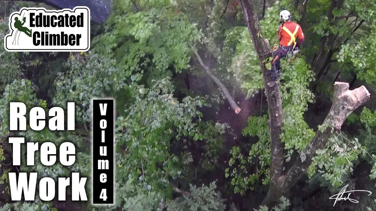 Real Tree Work Vol. 4 | Arborist Climbing and Rigging Adventures