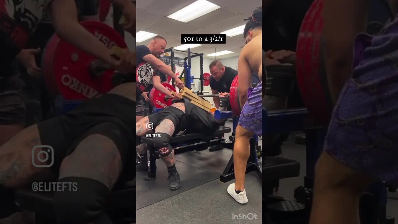 Quick! Everyone grab their rulers | PAPA BEAR ROGERS 😵‍💫 #elitefts #fitness