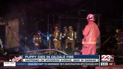 Family displaced after home in Oildale is destroyed in overnight fire