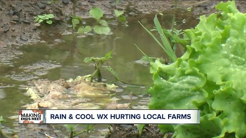 Cool and soggy spring could cost you at the grocery store the next few months