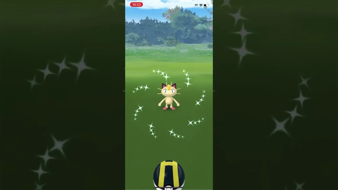 Shiny Compilation