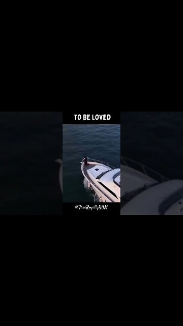 Arcando & Maazel - To Be Loved (feat. Salvo) Trap Music [FreeRoyaltyBGM]#shorts