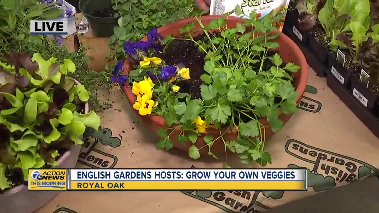 Grow Your Own Veggies