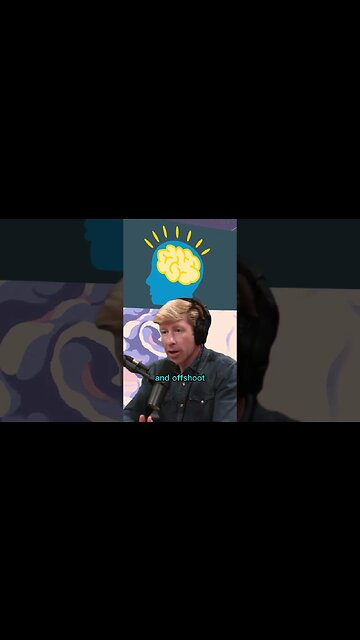 Why do we dream? What is function of dreams? - Joe Rogan & Matthew Walker