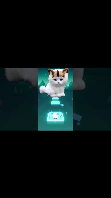 cat sing 2 phut hon #shorts #music #cat