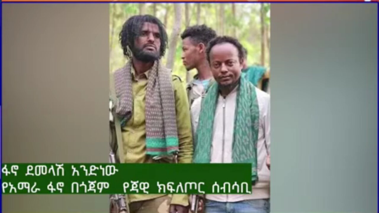 የአማራ ፋኖ በጎጃም የጃዊ ክፍለጦር ሰብሳቢ ከሆነው ፋኖ ደመላሽ አንድነው ጋር የተደረገ ቃለ-ምልልስ