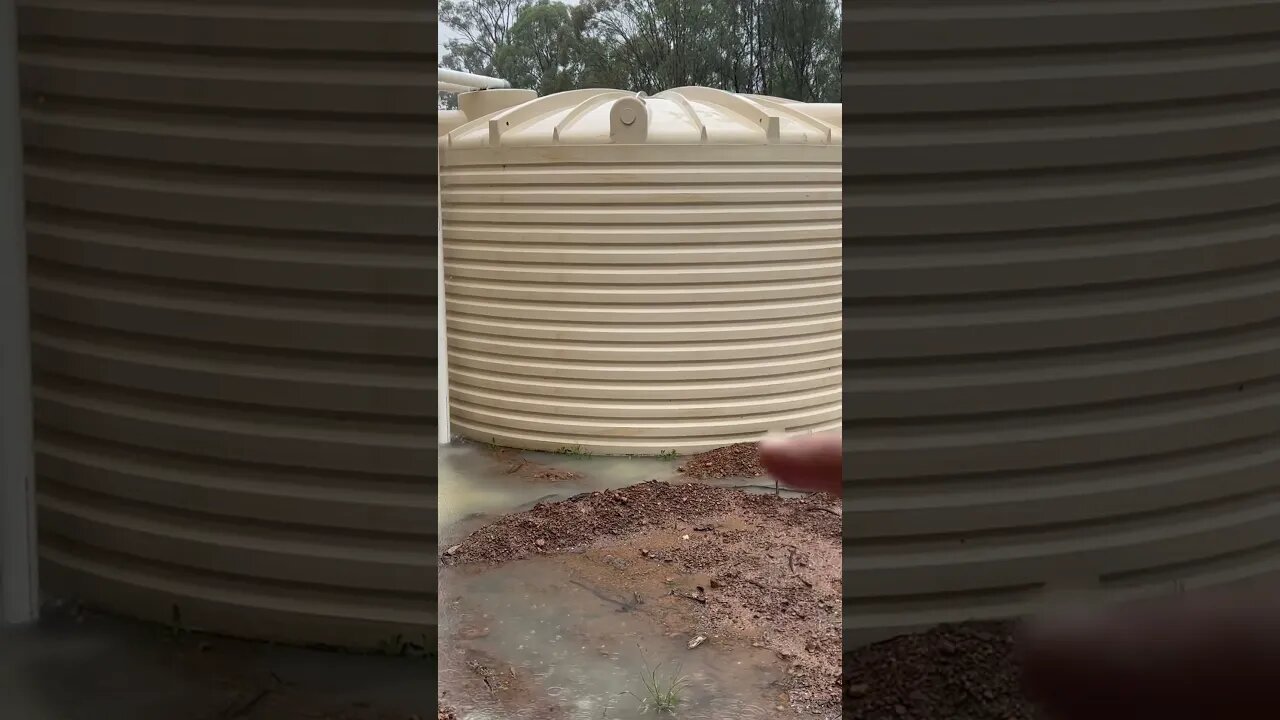 Overflowing #offgridhomestead #watertank #raining #shedlife #rainwater #offgridliving #farm