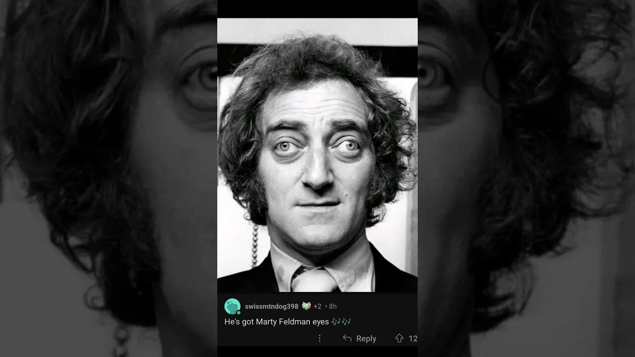 leave Marty out of it! #nonsense #zoobox #shorts #reddit