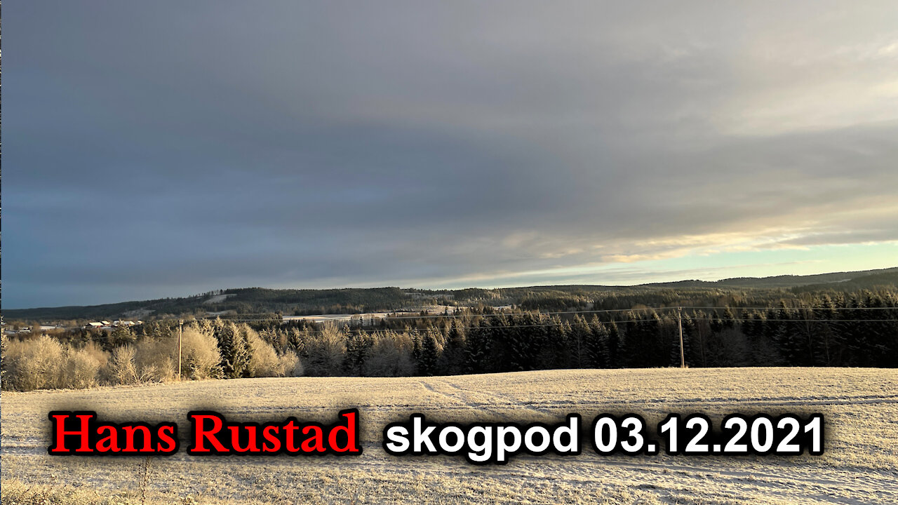 Skogpod 3. desember: Skriften står på veggen og man må tørre å lese den