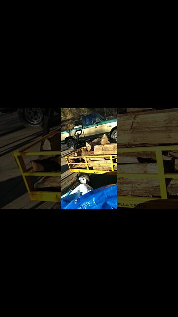 Gorilla Cart must have for homestead