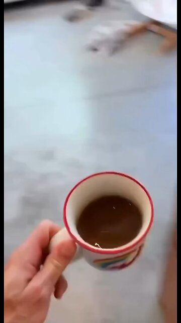 Alexa…milk 🥛😂😂😂